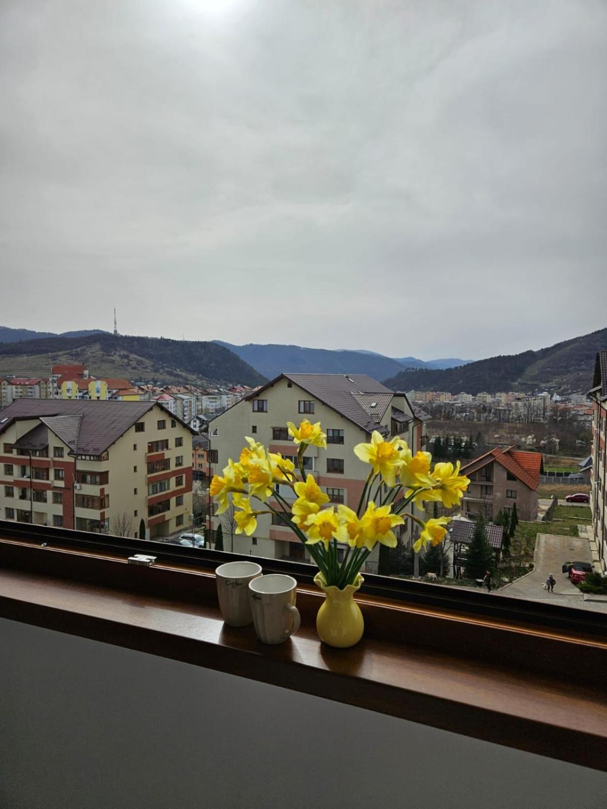 Tei Residence Piatra Neamţ Eksteriør billede